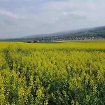 Maisonette شقة