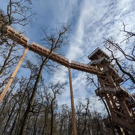 Lejlighed Maisonette In Taunus With Terrace & Trails Bad Camberg