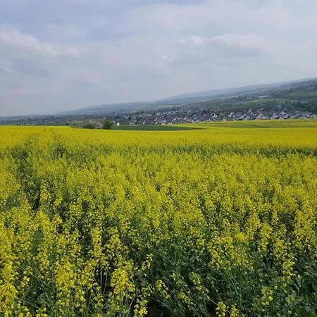 Maisonette In Taunus With Terrace & Trails Lejlighed